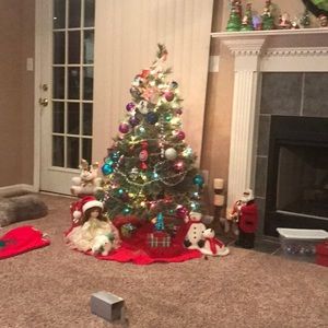 Meet your Posher, Sandy